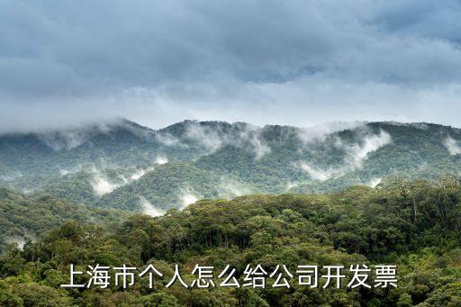 上海市個(gè)人怎么給公司開(kāi)發(fā)票
