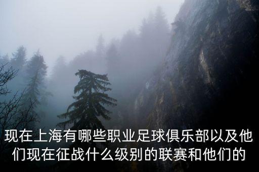 上海市政足球俱樂部，2022賽季中國足球協會超級聯賽參賽球隊有哪些