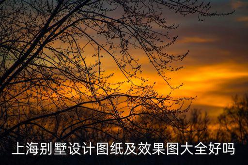 上海市景瑞江山悅戶型圖，上海別墅設計圖紙及效果圖大全好嗎