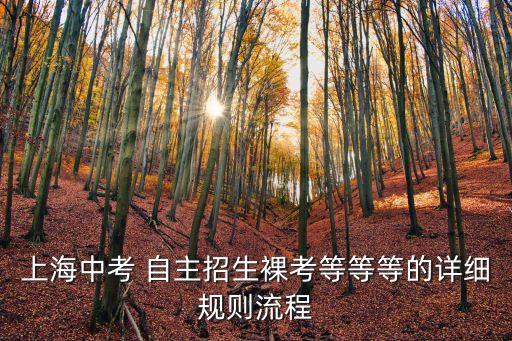上海市新中初級中學怎樣招生，怎么考入上海市上海中學