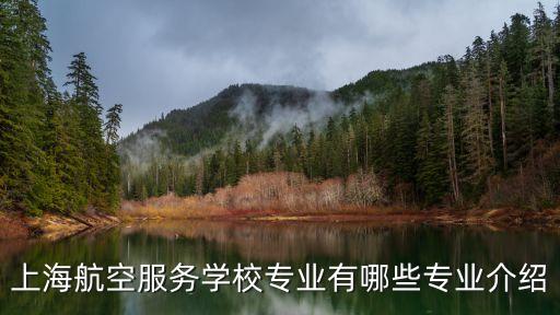 上海市第七 星光計劃，上海星光計劃含金量