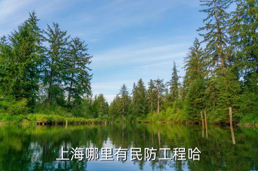 上海市防空工程在哪，上海哪里有民防工程哈