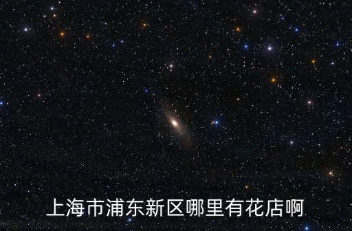 上海市浦東新區哪里有花店啊