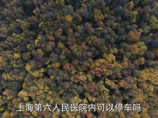 上海第六人民醫(yī)院內(nèi)可以停車嗎