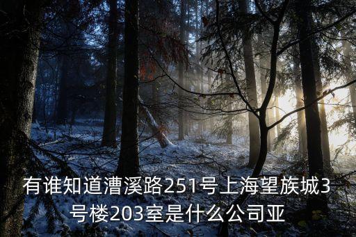 上海市恒安公寓，上海市浦東新區東方路971號錢江大廈五樓是做什么的