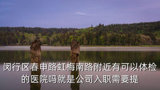 閔行區春申路虹梅南路附近有可以體檢的醫院嗎就是公司入職需要提