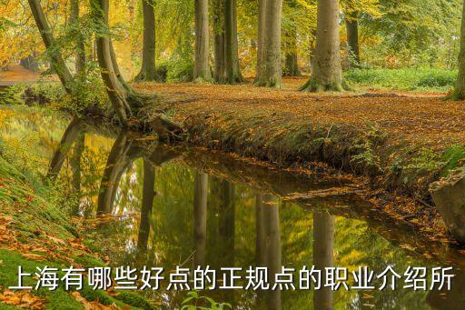 上海市徐匯區職介所，我檔案剛轉到徐匯區職業介紹所請問具體地址是什么