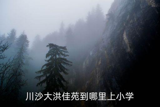 上海市 小學入學劃片問題，川沙大洪佳苑到哪里上小學
