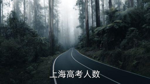去年上海市高考人數(shù)有多少，上海歷年參加高考人數(shù)