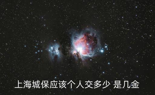 上海城保應該個人交多少 是幾金