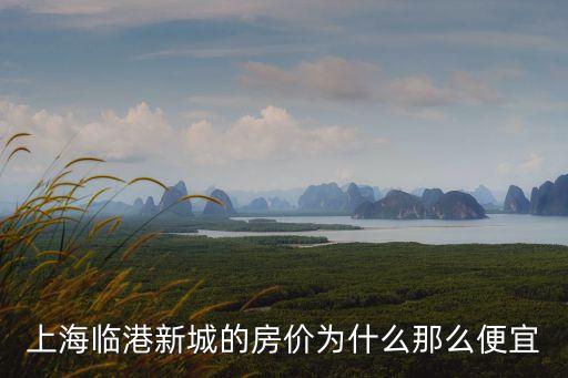 上海市發改委 行政服務中心，男朋友碩士畢業考取公務員目前在上海市發改委工作據說是個不錯的單