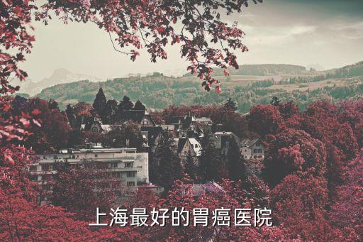 上海市六院治胃癌哪家好，上海最好的胃癌醫(yī)院