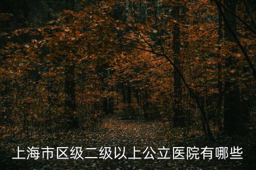 上海市區級二級以上公立醫院有哪些