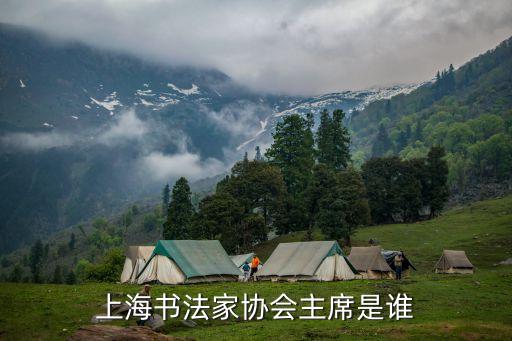 上海市工藝美術大師鄭升帥，上海書法家協會主席是誰
