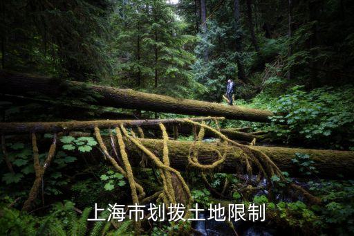 上海市劃撥土地限制