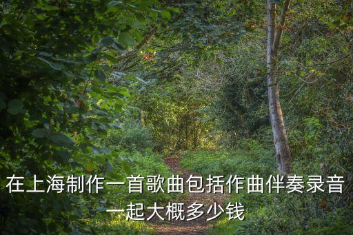 上海市版權(quán)費(fèi)用多少錢，上海迪士尼版權(quán)要花多少錢給美國