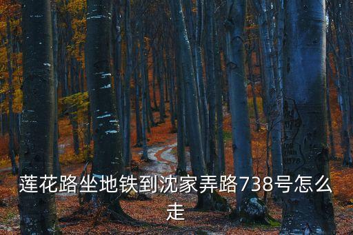 上海市浦東新區(qū)沈家弄738號，蓮花路坐地鐵到沈家弄路738號怎么走