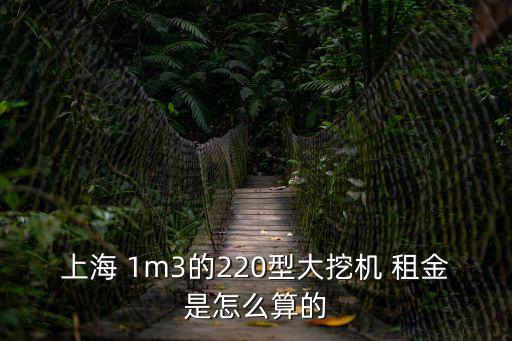 上海 1m3的220型大挖機 租金是怎么算的