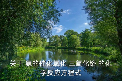 關(guān)于 氨的催化氧化 三氧化鉻 的化學(xué)反應(yīng)方程式