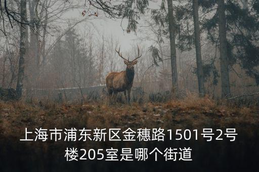 上海市金浦市，上海市浦東新區金穗路1501號2號樓205室是哪個街道