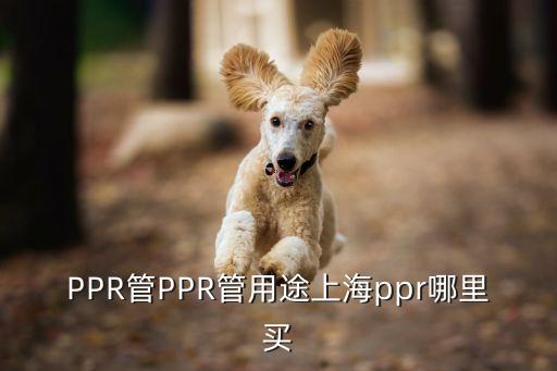 PPR管PPR管用途上海ppr哪里買