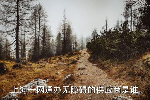 上海市 供應商，上海藥品供應商有哪些