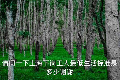 上海市下崗工人生活費發放標準，下崗職工生活費標準