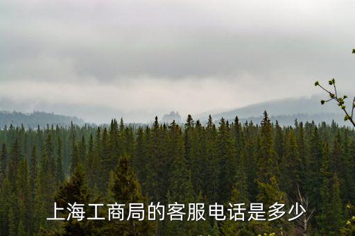 上海市工商行政執(zhí)法局，上海工商局的客服電話是多少