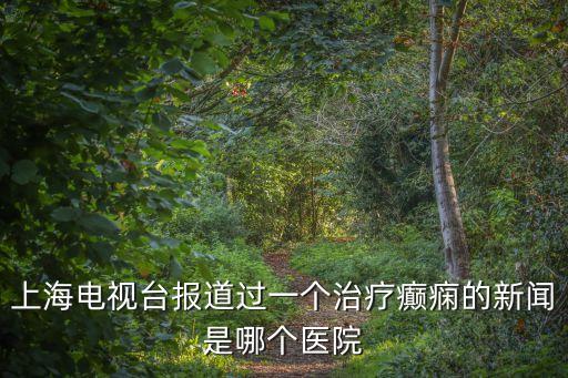 上海市虹橋醫院張巖，上海電視臺報道過一個治療癲癇的新聞是哪個醫院