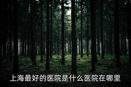 上海最好的醫院是什么醫院在哪里