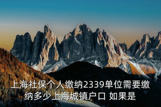 上海市 城保個(gè)人繳費(fèi)，上海城保應(yīng)該個(gè)人交多少 是幾金
