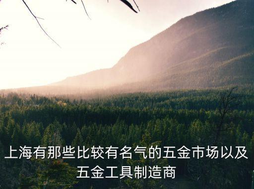 上海有那些比較有名氣的五金市場以及五金工具制造商