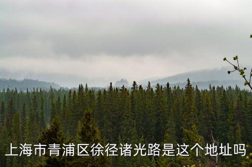 上海市青浦區徐徑諸光路是這個地址嗎