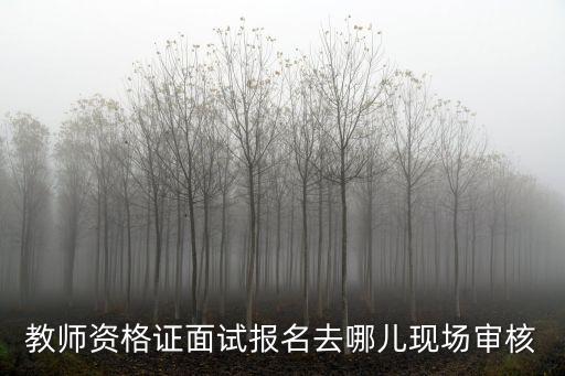 教師資格證面試報名去哪兒現場審核