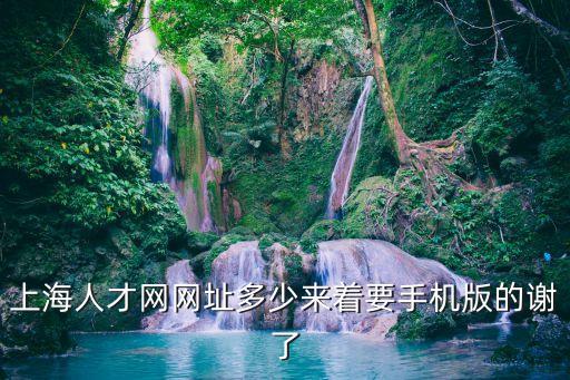 上海市597人才招聘網，上海人才網網址多少來著要手機版的謝了