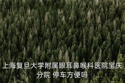 上海復旦大學附屬眼耳鼻喉科醫院寶慶分院 停車方便嗎