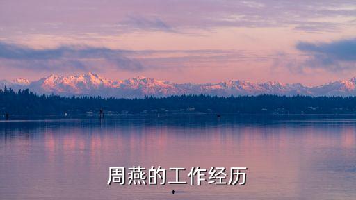周燕的工作經(jīng)歷