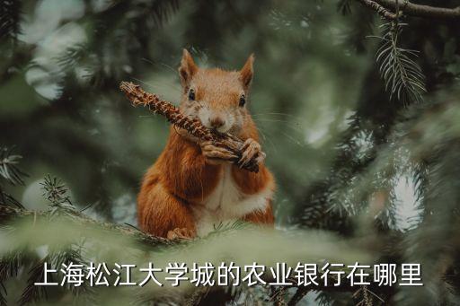 上海松江大學(xué)城的農(nóng)業(yè)銀行在哪里