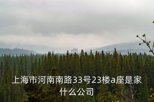 上海市河南南路33號23樓a座是家什么公司