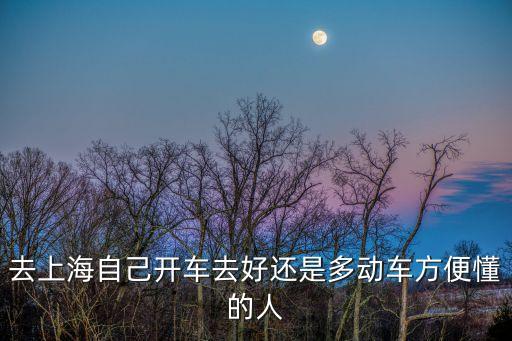 去上海自己開車去好還是多動車方便懂的人