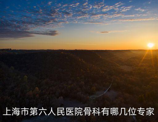上海市第六人民醫院骨科有哪幾位專家