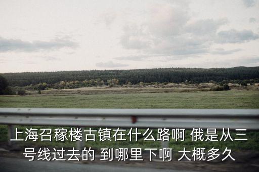 上海市梅隴到召稼乘什么車，上海梅隴鎮(zhèn)銀都菜市場路到浦江鎮(zhèn)蘇召路菜市場做公交怎么云