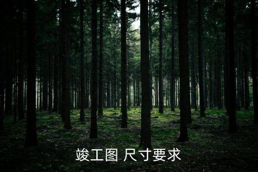 竣工圖 尺寸要求
