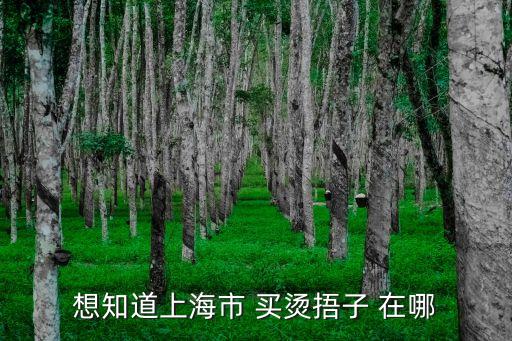 上海市發(fā)熱哨點(diǎn)，想知道上海市 買燙捂子 在哪