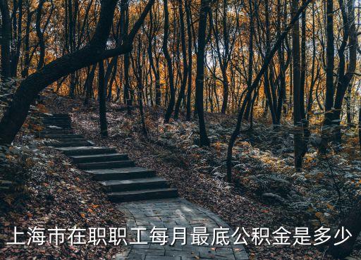 上海市最低工資一個月公積金交多少錢，上海市在職職工每月最底公積金是多少
