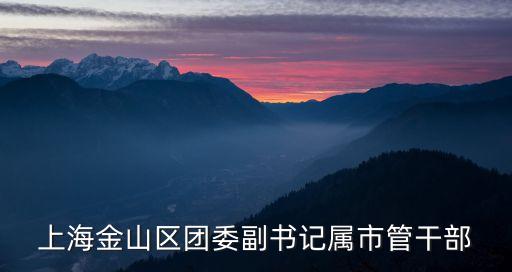 上海市人民政府黃志成，上海金山區(qū)團(tuán)委副書記屬市管干部