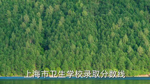 上海市衛生學校錄取分數線