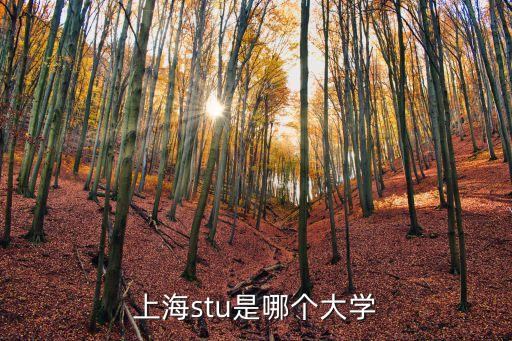 上海stu是哪個大學