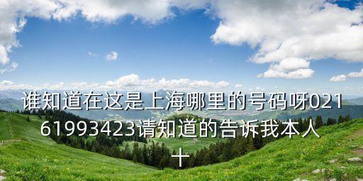 上海市臨港新區趙培培，誰知道在這是上海哪里的號碼呀02161993423請知道的告訴我本人十