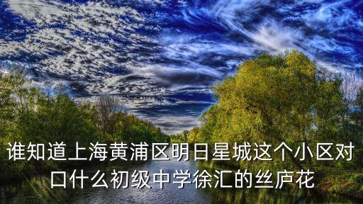 上海市明日星城小區，明日星城二期怎么樣好不好值不值得買